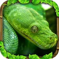 Snake Simulator logo