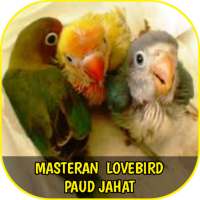 Master Lovebird Paud Jahat Offline on 9Apps