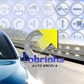 Auto Escola Cobrinha icon