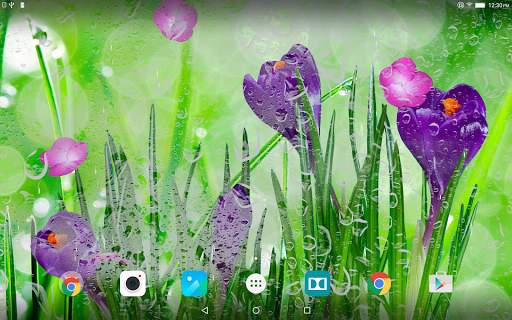 Spring Flower Live Wallpaper screenshot 9