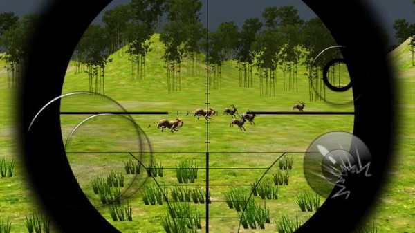 Sniper Vs Lion Vs Deer screenshot 5