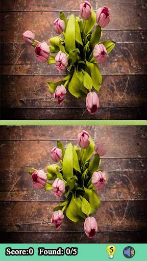 Find Differences Puzzle Games screenshot 3