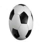 Football trivia game True or false 1.0