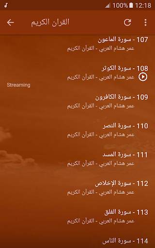 Omar Hisham Al Arabi Quran screenshot 7