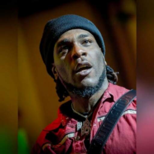 BURNA BOY 1.0
