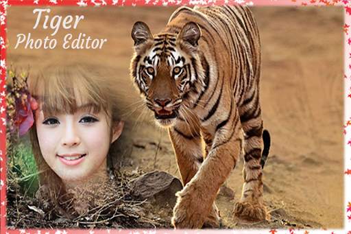 Tiger Photo Editor: Tiger Photo Frame screenshot 4