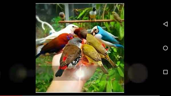 HD Video Player Pro 3 تصوير الشاشة