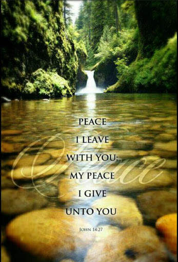 Bible Daily Verses screenshot 3