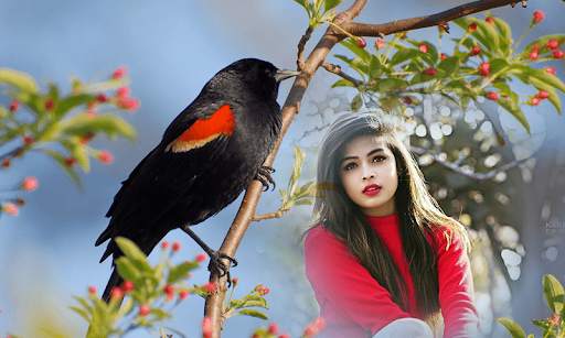 Birds Photo frame : Bird photo editor screenshot 4
