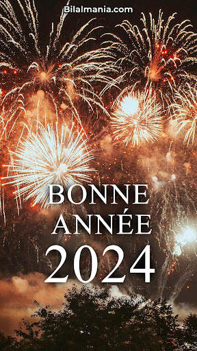 Bonne Année 2024 screenshot 1