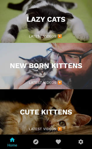 Funny Cat Videos: Funny Reactions and Cute Sounds screenshot 1