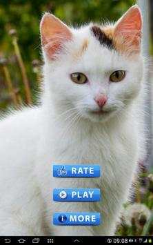 Best Cats game screenshot 1