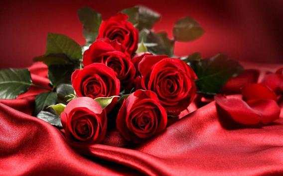 Valentine Roses live wallpaper screenshot 4