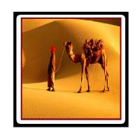 Travel Jaipur🌇- World Heritage city🌍 (UNESCO) logo