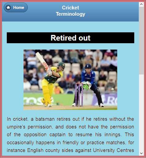 Cricket Language &Terminology screenshot 16