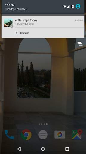My Steps screenshot 5