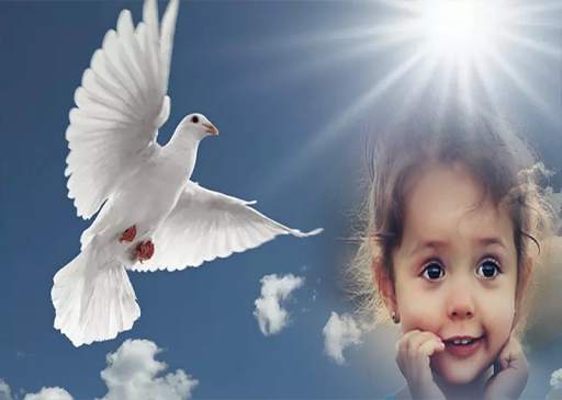 Birds Photo Frames स्क्रीनशॉट 3