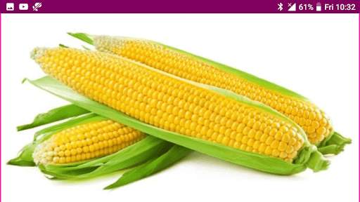 Learn Tamil Fruits and Vegetables Names screenshot 15