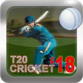 T20 World Cricket 2018 2.5