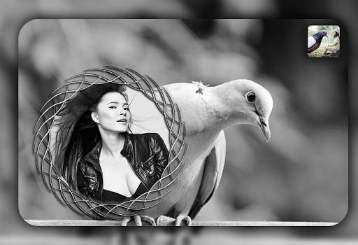 Dove Photo Editor - Dove Photo Frames screenshot 2