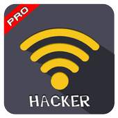 Wifi Access WPA WPS WPA2 PRANK 1.1b