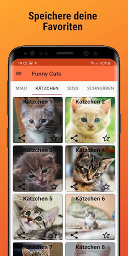Funny Cats Katzen Geräusche screenshot 3