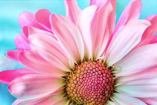 40 Megapixel Camera screenshot 5