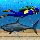 Shark Attack icon
