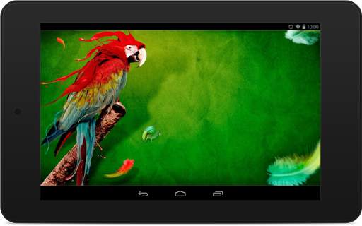 Parrot Wallpapers screenshot 9