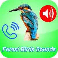 Birds Songs As Phone Ringtone