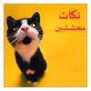 نكات محششين on 9Apps