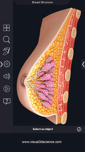 Organs Anatomy Pro. screenshot 8