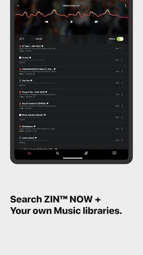 ZIN Play screenshot 9