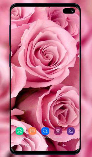 Pink Wallpaper screenshot 8