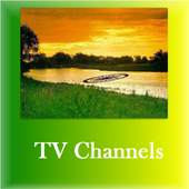 All TV Channels 1.1