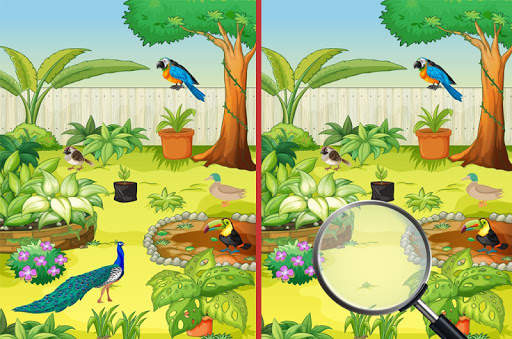 Bird Spot The Difference screenshot 5