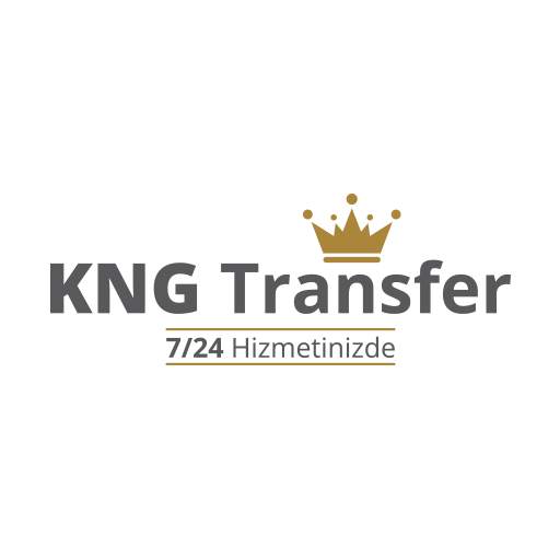 King Driver 1.5