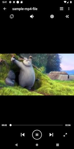 Video Player All Format (VX Player) screenshot 5