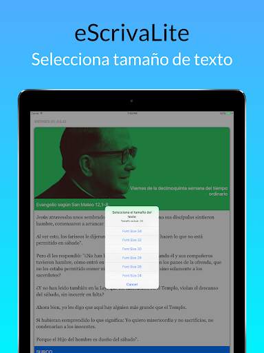 eScrivaLite screenshot 6