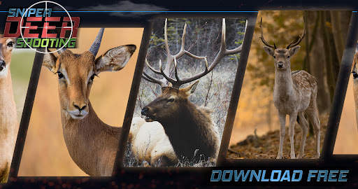 Sniper Deer Shooting Game fun screenshot 5