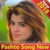 Pashto Song New 🎬
