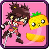 Fruit Slice Ninja 1.0
