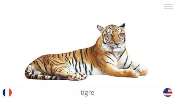 Play and Learn LANGUAGES screenshot 3