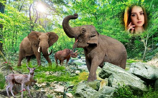 Wild Animal Photo Editor: Photo Frames Banane Wala screenshot 8