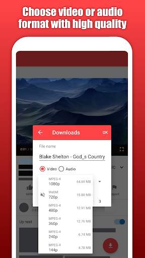 Video social downloader screenshot 2