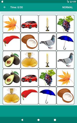 Brain game. Picture Match. screenshot 8