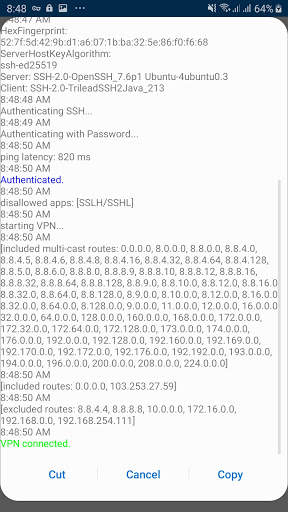 SSHL/SSLH Tunnel screenshot 2
