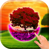 Sunset tree wallpaper icon