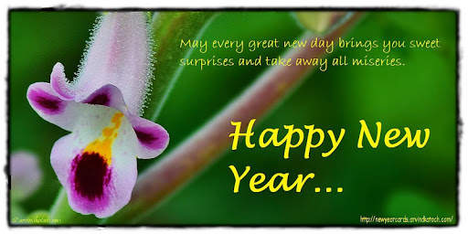 True Pic New Year Cards (2020) screenshot 2