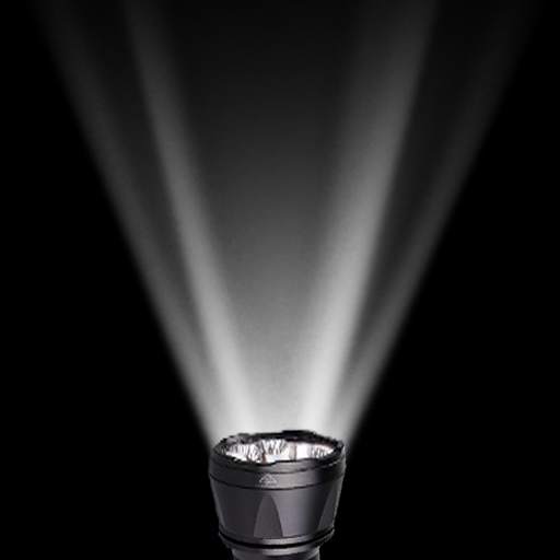 FlashLight App 1.0